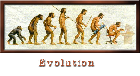 evolutionframe.jpg (146250 bytes)