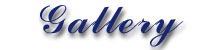 gallerytitle.jpg (8805 bytes)