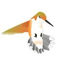 hummingbird.gif (21015 bytes)